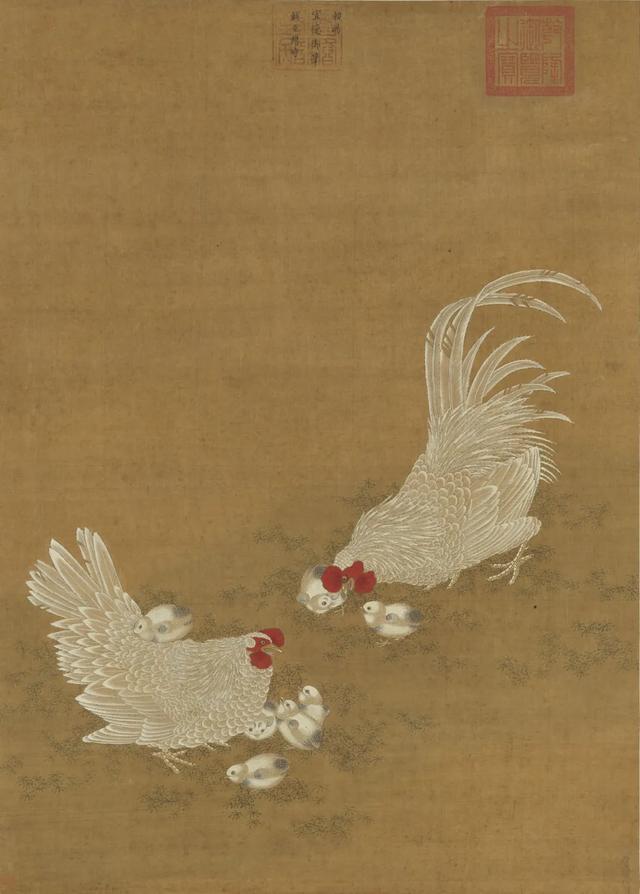 一只鸡是怎样成为顶流的?