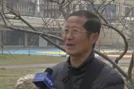 呼和浩特：桃树生理错乱立冬时节开花，原因是……图片