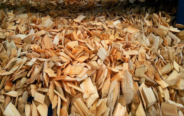 日本和美国早已禁种，那中国为何依然大力种植？背后的原因不简单