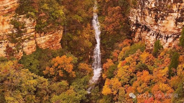 【视觉永济】红叶映云海 五老峰初冬盛景邀您打卡