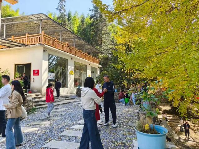 邵阳人藏不住的秋冬快乐!这些“金色浪漫”,@所有人来约!