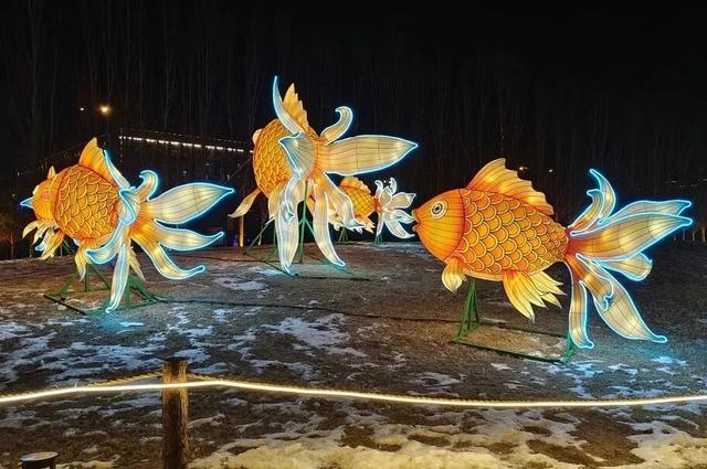 呼和浩特元宵佳节游玩攻略正式发布！快来看红火→