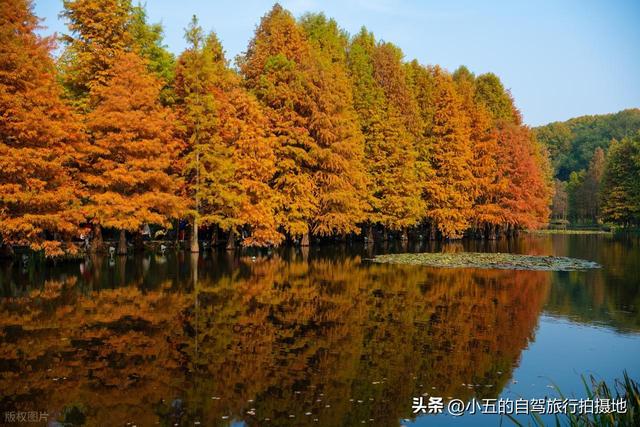 11月旅游的目的地推荐|每一个都是出片圣地的存在