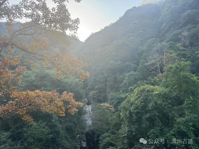 温州这个国家森林公园藏着深秋醉美的秋色，你可去过？