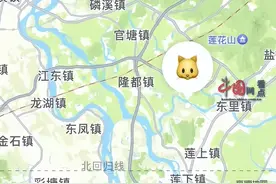 爱猫被偷走，铲屎官猛追300公里救出！比死神来得更早的是主人！图片