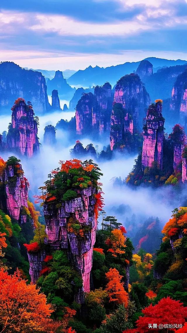 云雾若轻纱，缠绕于嶙峋石柱之间