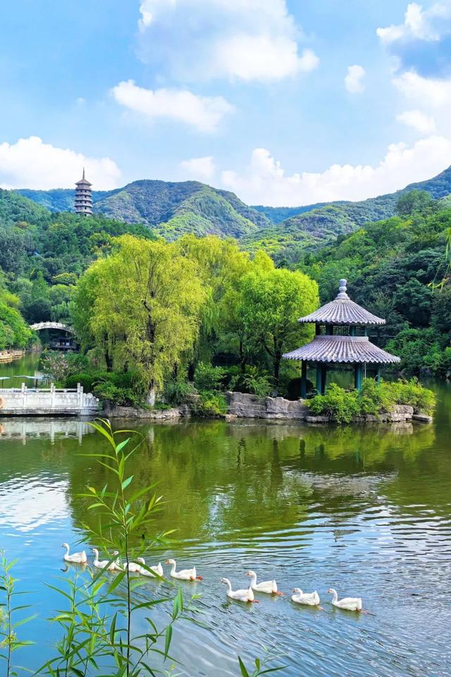 免费10天！快来探索济南这处山野秘境！