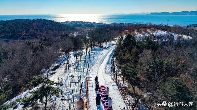 除了海，大连冬日“顶流”竟然是它们？