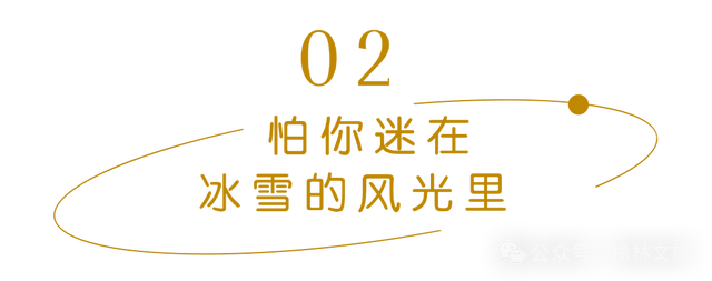 这个冬天，不敢带你回榆林！