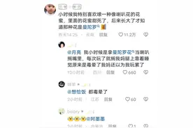 论我们小时候的命有多硬图片