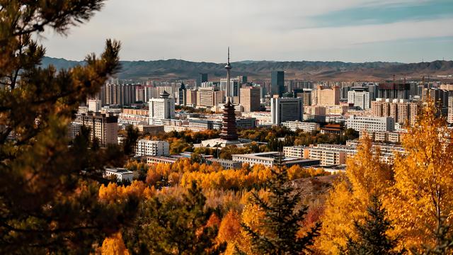 雁字裁云处，青城染就北疆最瑰丽的秋色长卷