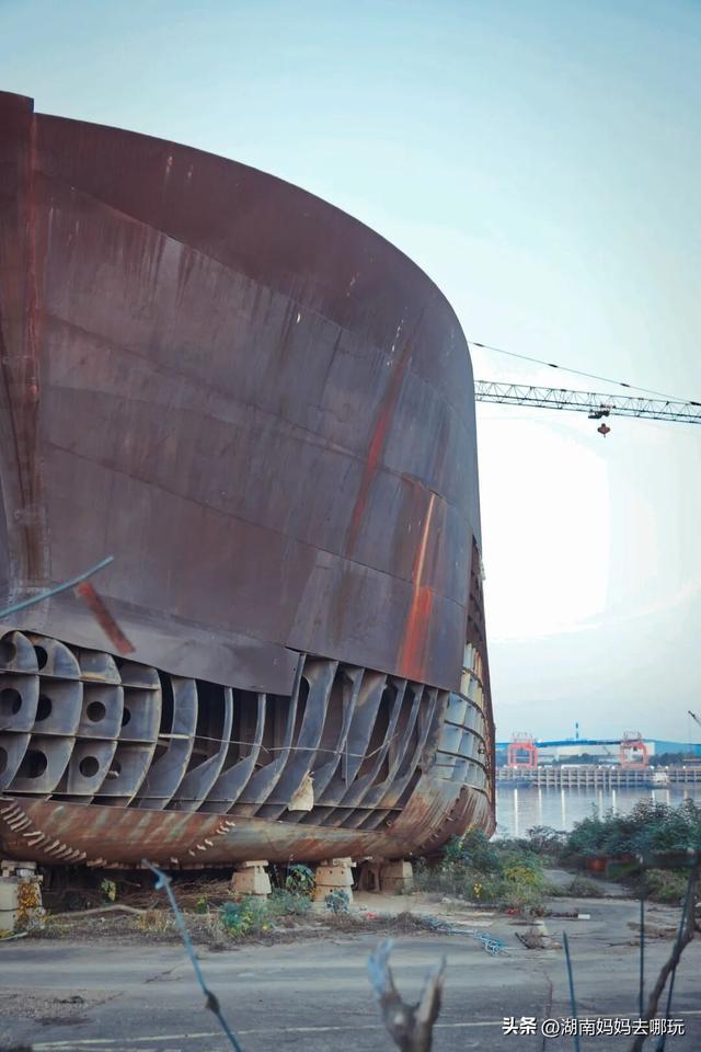 0.5H直达长株潭私藏“小白洋淀”，荻花摇曳处解锁老船厂遛娃秘境！