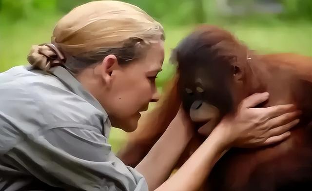 被锁暗室6年：剃毛穿丝袜当玩物，惨状撕开人类伪善面具