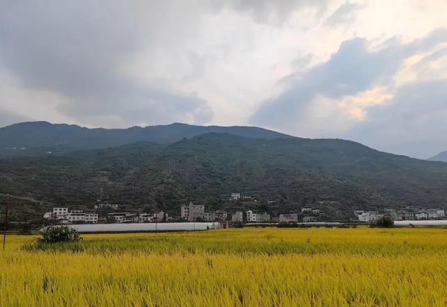 观秋景(平水韵)