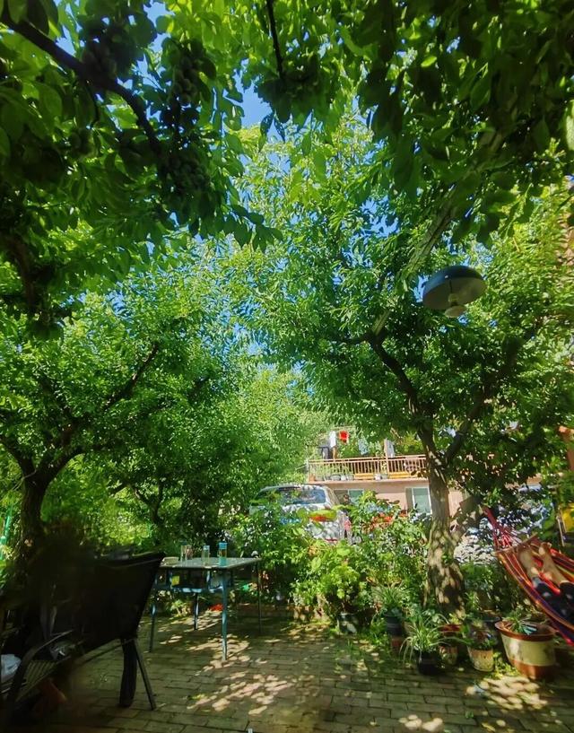 【美丽四川】茂县：云朵上的羌寨 夏日避暑天堂‖柳红樱