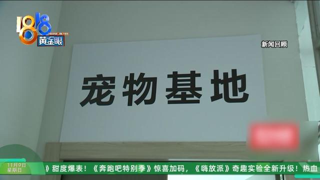 怎么又是这？她还拿出视频，里面“一动不动”，停了几只苍蝇....