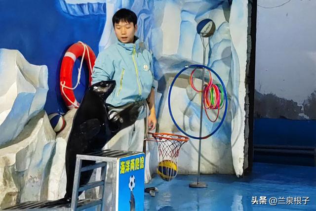 国宝百日庆·萌兽迎新年 兰州野生动物园邀您共赴自然之约