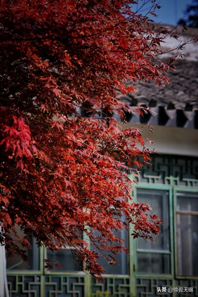 拥堵预警！这周末大家都去......