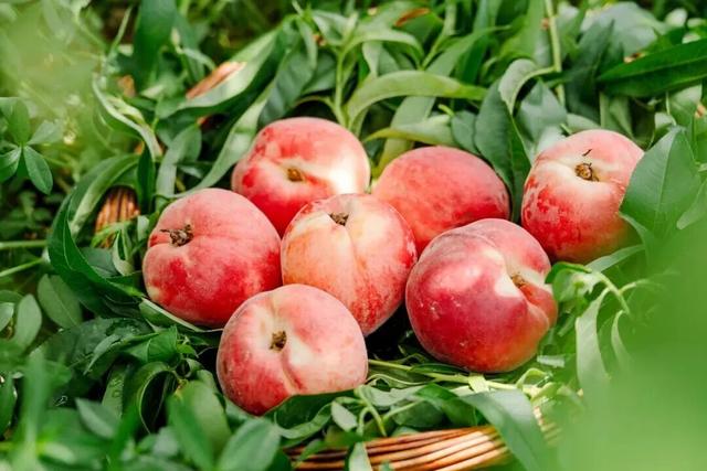 省级旅游度假区+2！每个都写满了松弛感