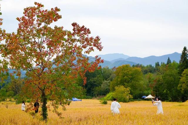 若你问深秋最该去哪里偷段闲？答案，就藏在黟县