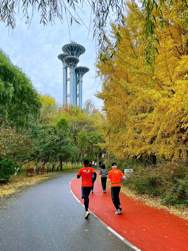 从 20 岁跑到 80 岁！各年龄段专属跑步指南，错一步可能白练