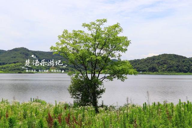 绍兴上虞的千年古湖，竟成了“绍兴的小镰仓”？真实情况原来这样