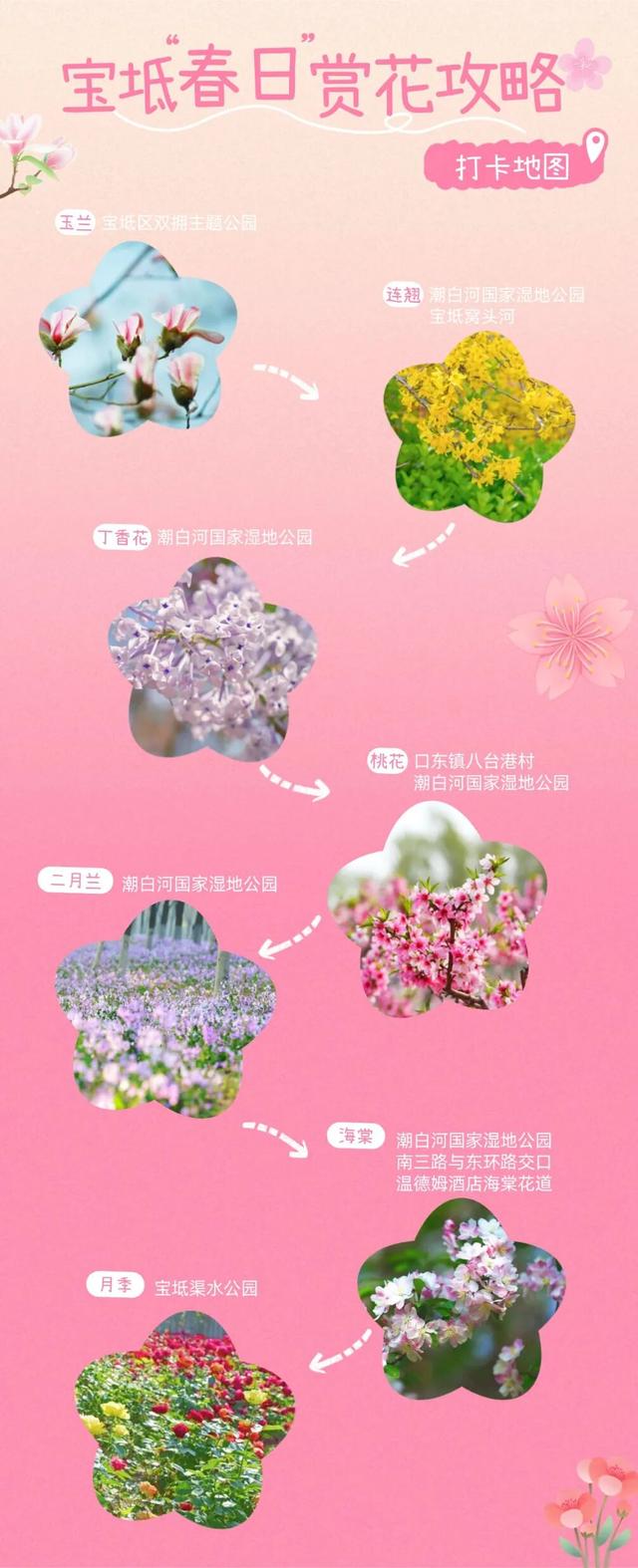 春日限定！宝坻赏花图鉴来啦