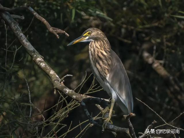 尽情地学习、经历、旅游,品尝美食时,就会发现,人生可以很美好