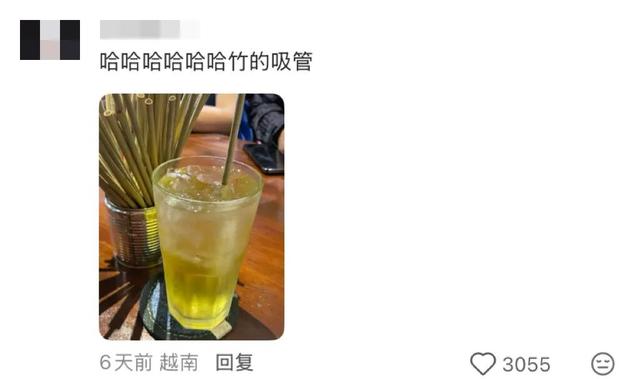 地理冷知识—越南的吸管