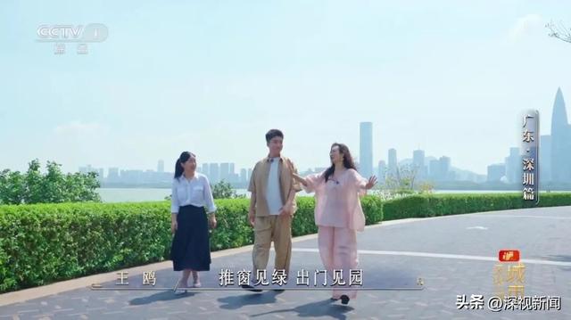 央视《城市风华录》走进深圳，解锁深圳N种“奇迹”的打开方式