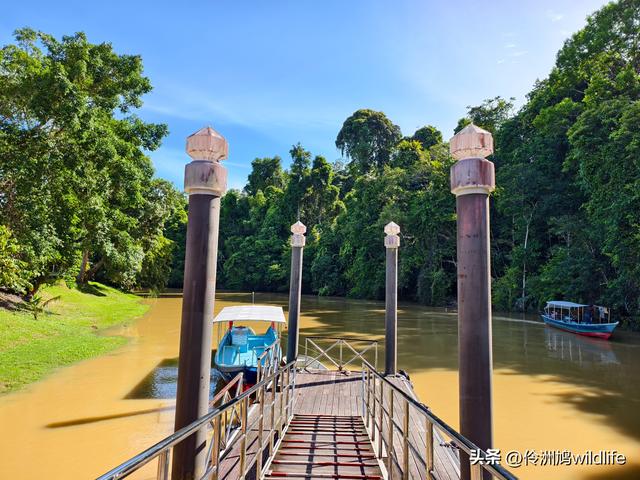 马来西亚(32)砂拉越州⑥世界遗产尼亚洞窟探险