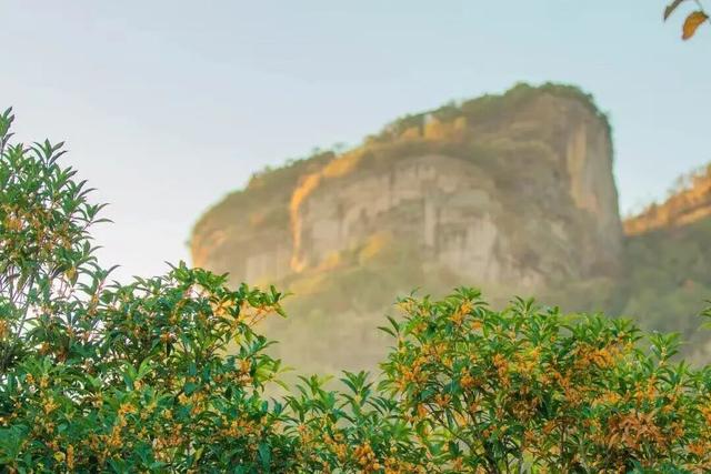 想和你在武夷山，赴一场秋色之约