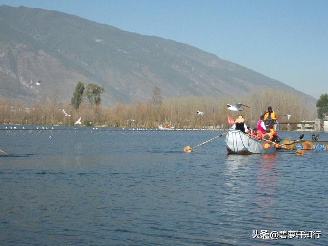 去云南昆明、丽江、大理会有高原反应吗？