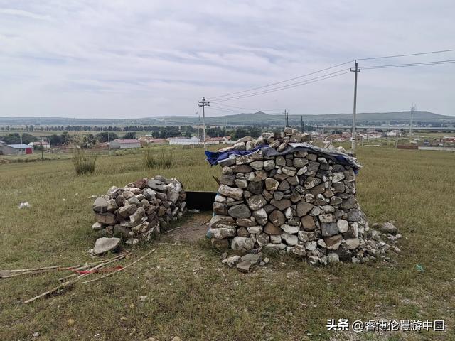 寻找谷力脑包
