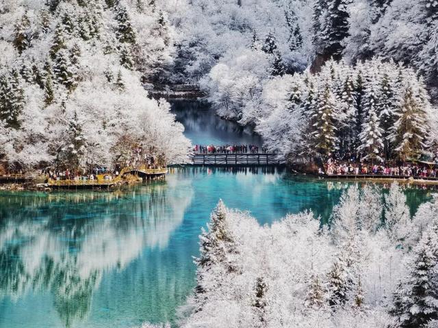 年末大盘点，九寨沟景区斩获多项殊荣！