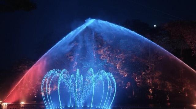 千山夜游爆火！森林星空音乐会最吸睛