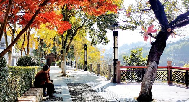 视觉画册｜醉美畲乡景宁：一季枫红燃情似火，半河光影温润如诗