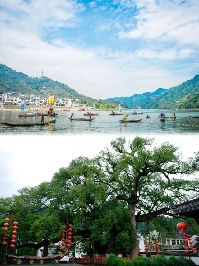 古树观鸟图鉴・摄影线路① | 太绝了！“鹇栖秘境 水口园林摄影线”，随手拍都是诗意大片🤳！| 皖美夏日