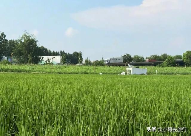 成都三元地铁又上新风景，超级惊艳，不要门票，地铁直达！