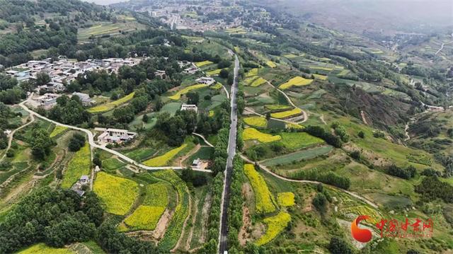甘肃：震后交通恢复重建项目为太子山旅游大通道积石山段“强筋壮骨”