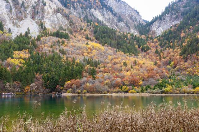 光影札记 | 秋染九寨：一半湖水蓝，一半山林红