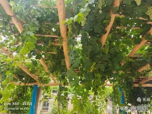 新疆库车:穿越历史的文化之旅|申艳娟