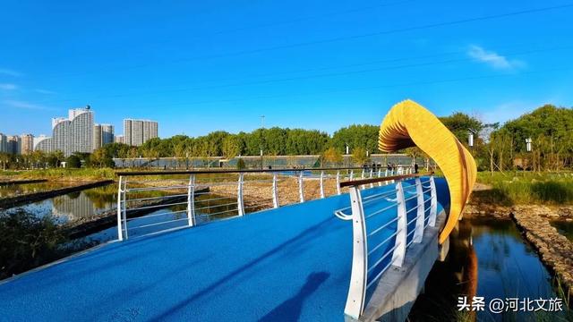 实拍!秦皇岛家门口的免费好去处,这个百亩湿地公园晚上也能逛~