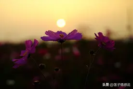 男女交往中，中年女人是玩暧昧，还是真爱，明显的特征：3个字图片