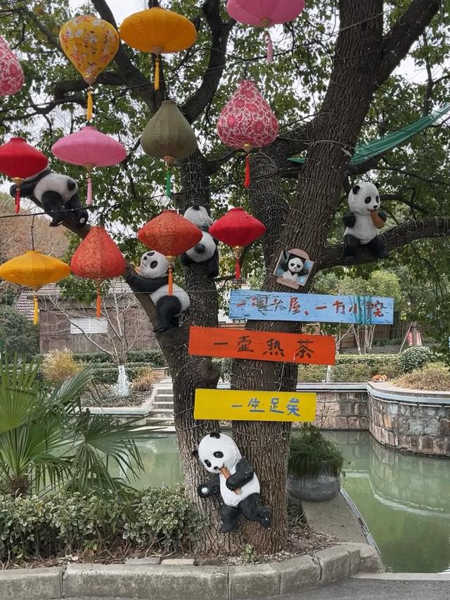 上海旅游村这么多，为什么偏偏它最成功？