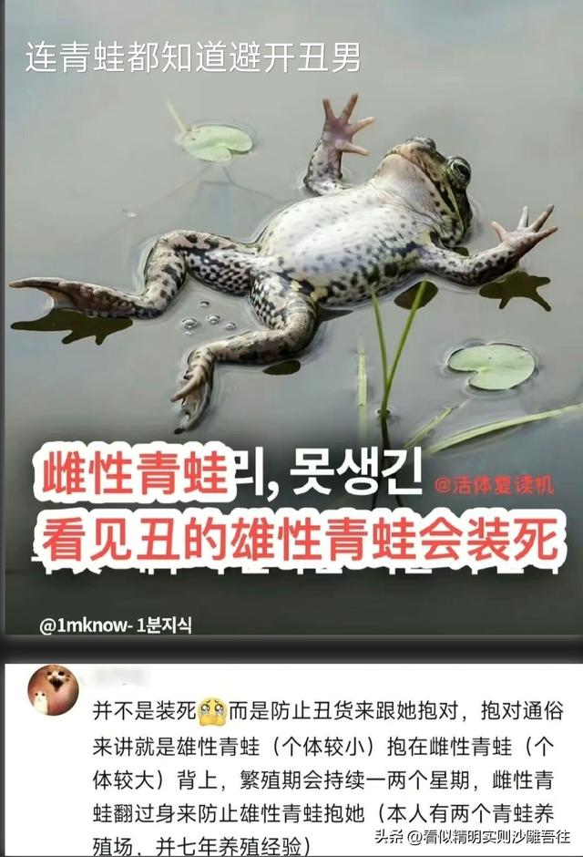 开心一笑 但求一赞❤️