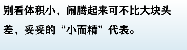 苏联解体后分成的15个国家名单，终于有人整理好了，收藏起来看看