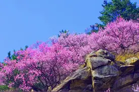 早啊！新闻来了〔2025.4.25〕图片