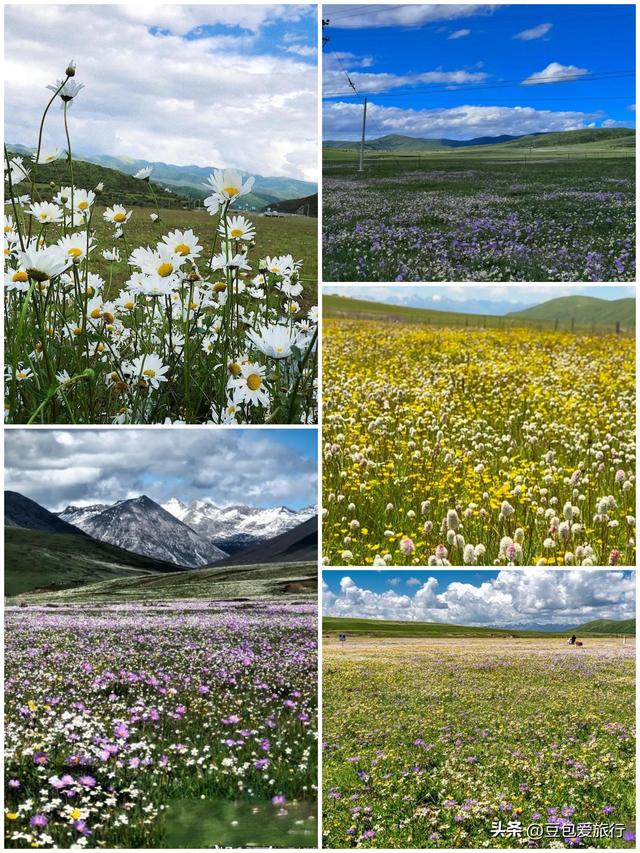 阿坝漫游记：雪山花海与羌寨古寺的十六次心动