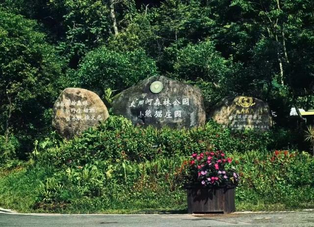 思茅打卡全攻略！这些宝藏点位 茶咖食宿玩一站式承包 | 有一种叫云南的生活